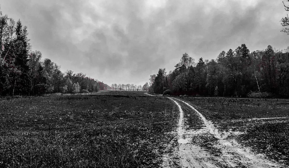 Photograph by Владимир Логвинов