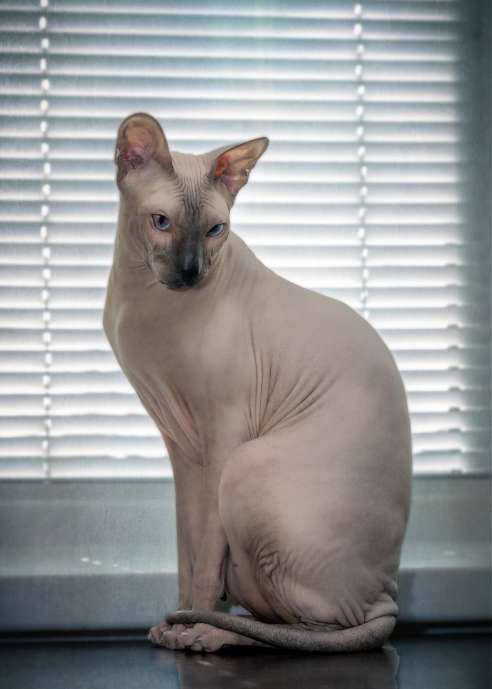 Photograph by Прохоров Денис