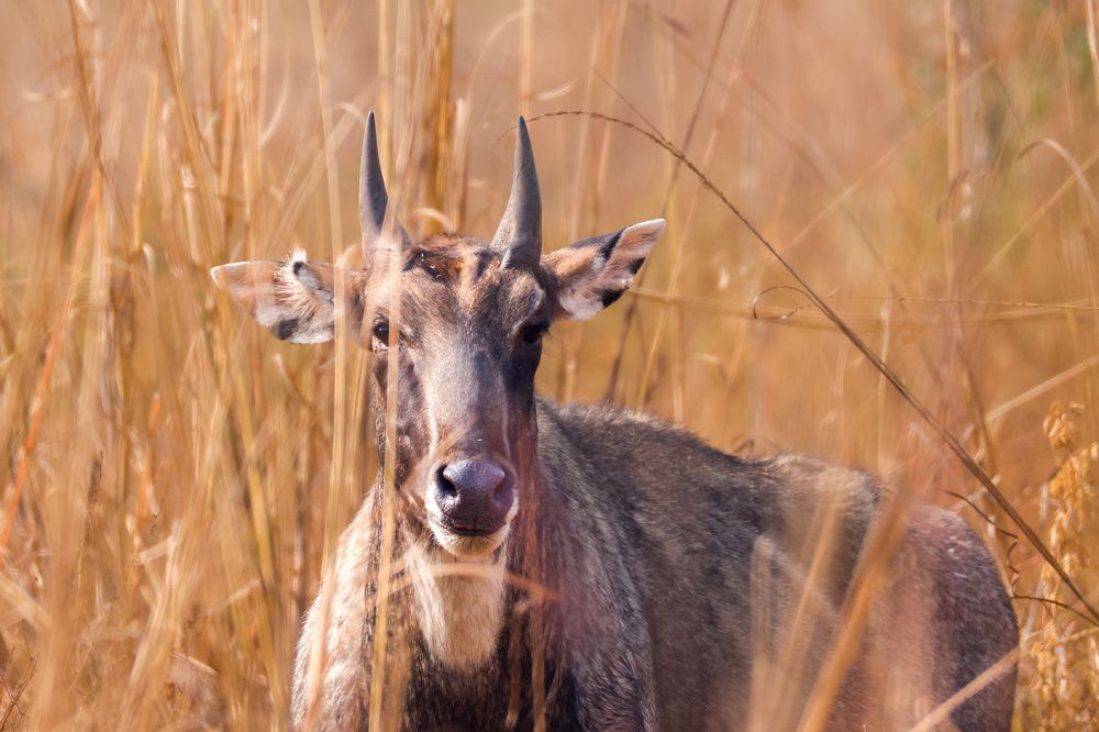 Photograph by Abhishek