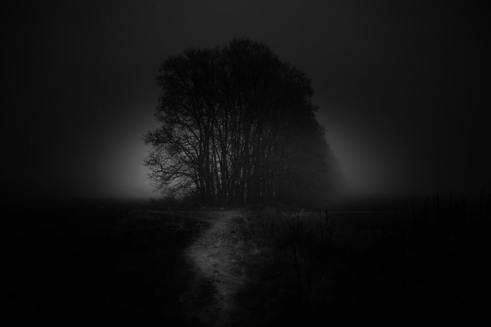 Photograph by Сергей Тельнюк