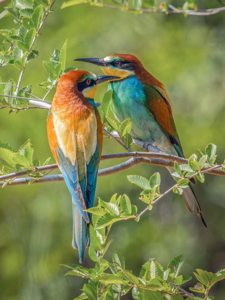 Когда уже всё сказано