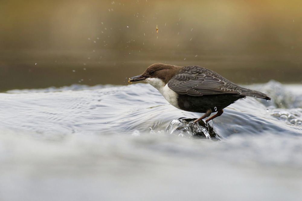 Photograph by Jørgen Hovde