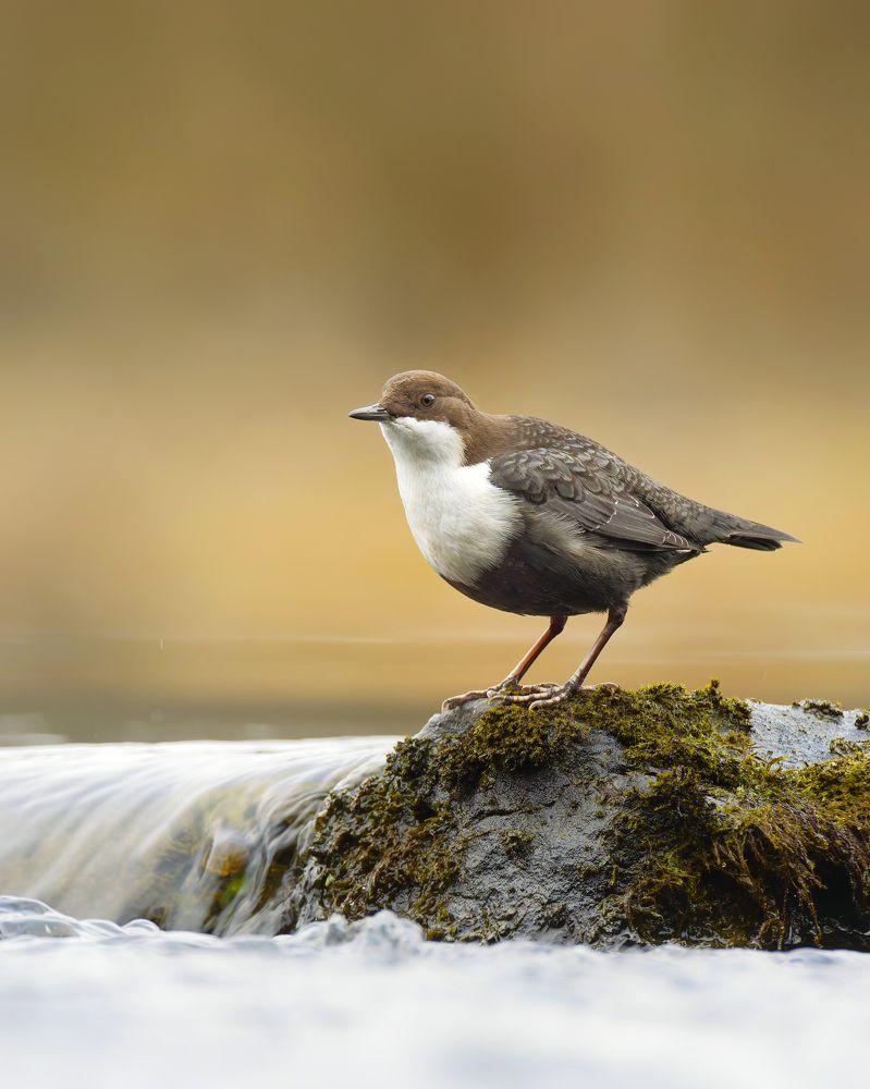 Photograph by Jørgen Hovde
