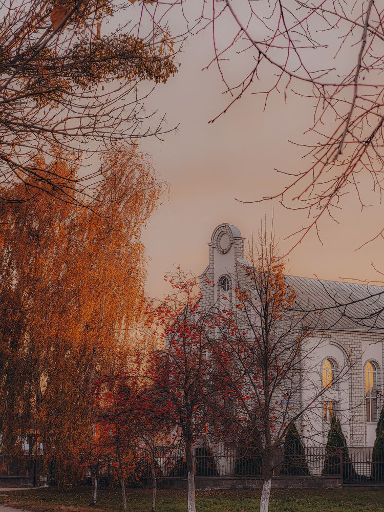 осенняя аллея, ведущая к церкви