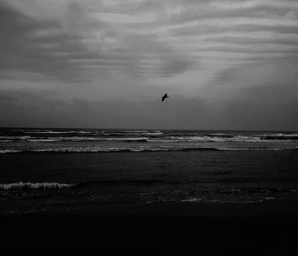 Photograph by Zahra HassanPour