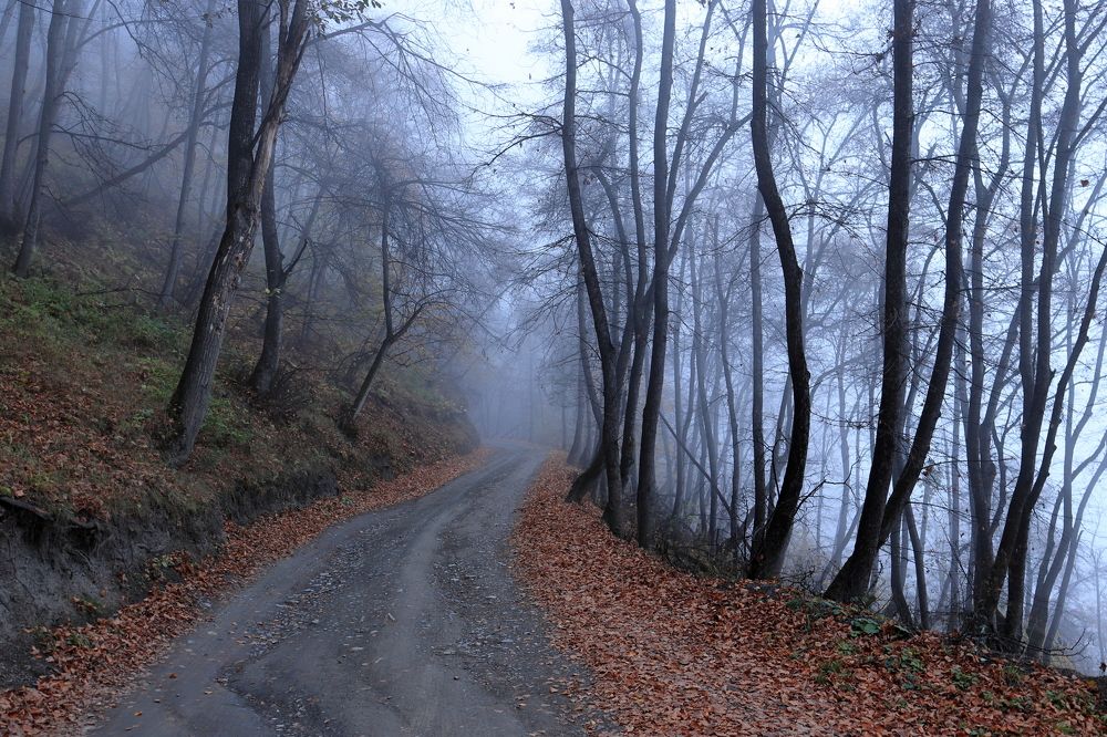 Туман. Горная Ингушетия.