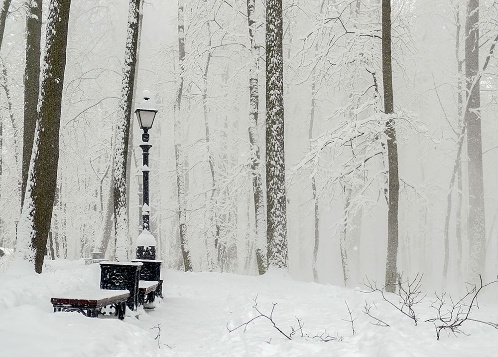 Photograph by Natalia Bolotenkova