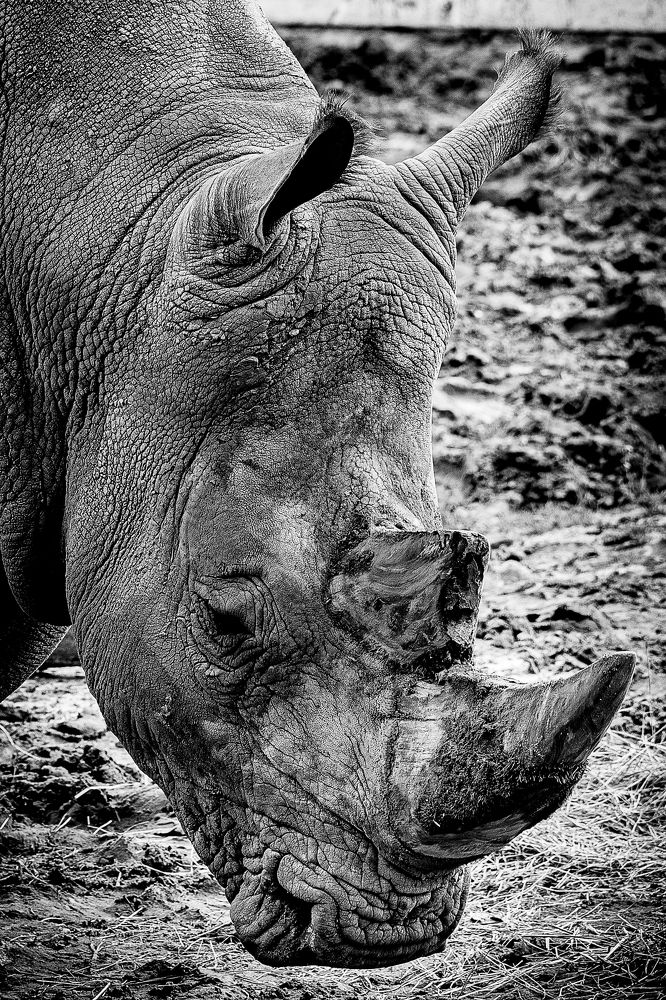 Photograph by Дмитрий Казачек