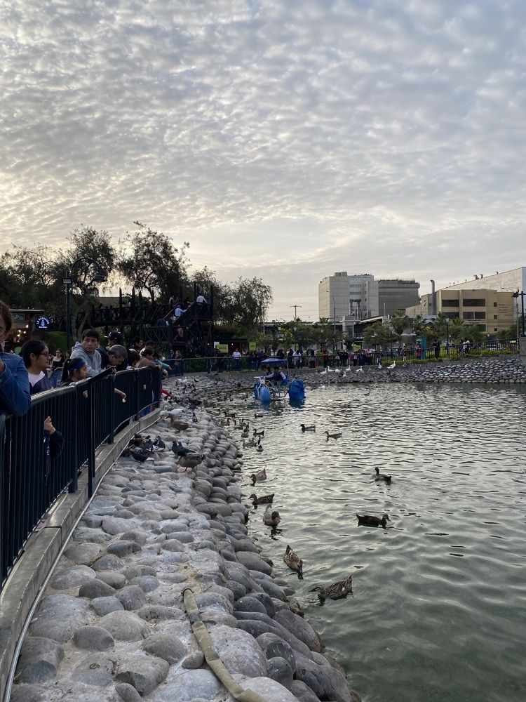 Photograph by Rosa Alegría