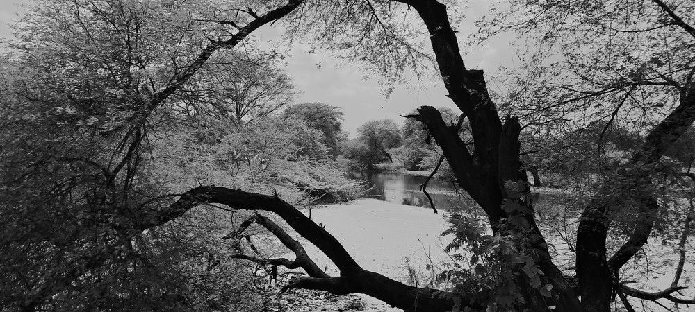 Photograph by Manish (Valmie) Joshi