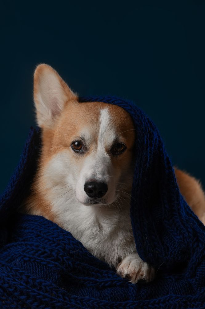 Фотография автора Алена Ковалёва