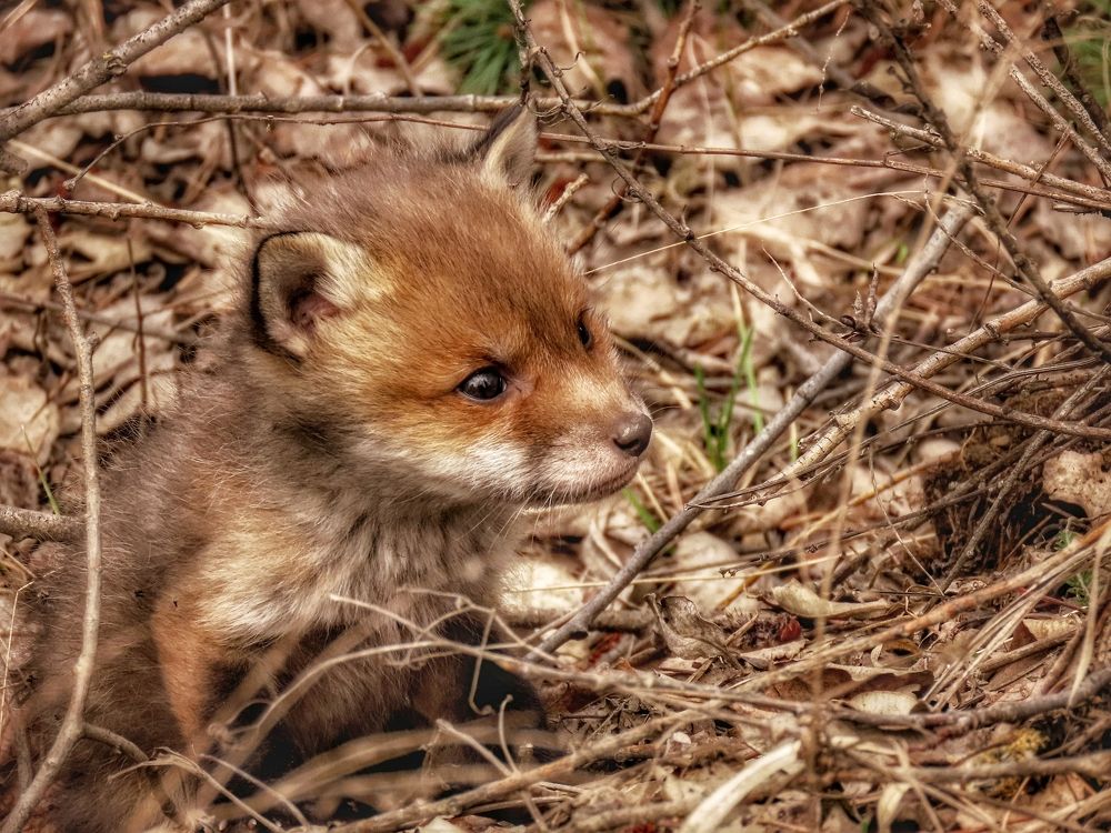 Фотография автора Екатерина Солохина