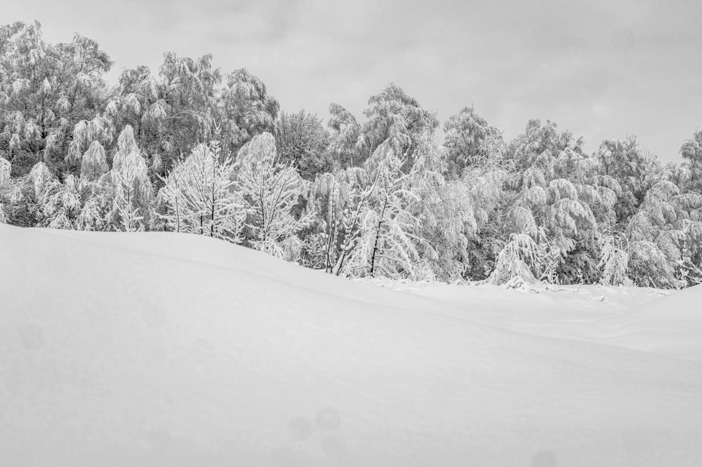Photograph by Марина Стротова