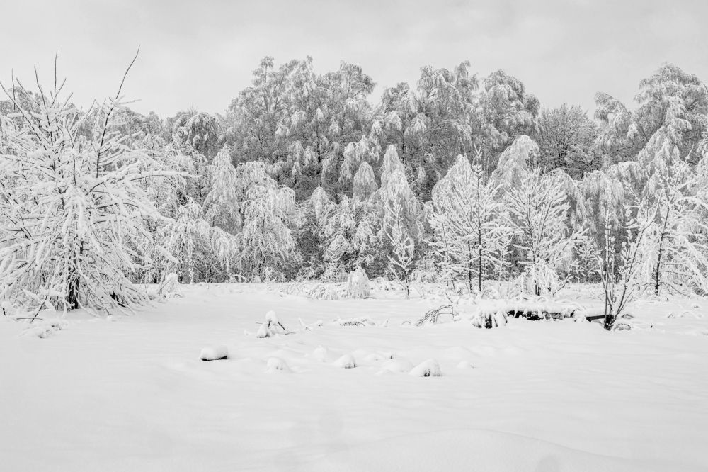 Photograph by Марина Стротова