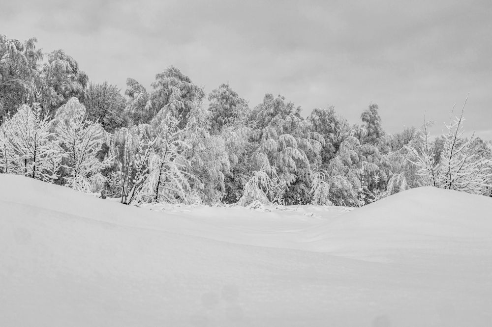 Photograph by Марина Стротова