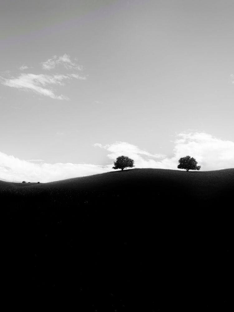 Photograph by Зорин Миша