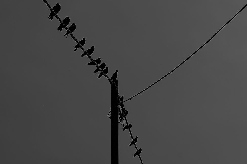 Photograph by Moulay Ahmed KASSI