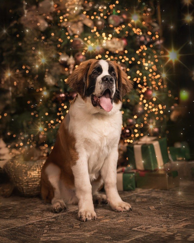 Фотография автора Карина Сагитова