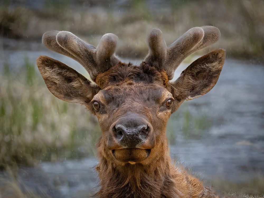 Photograph by Guy Wilson