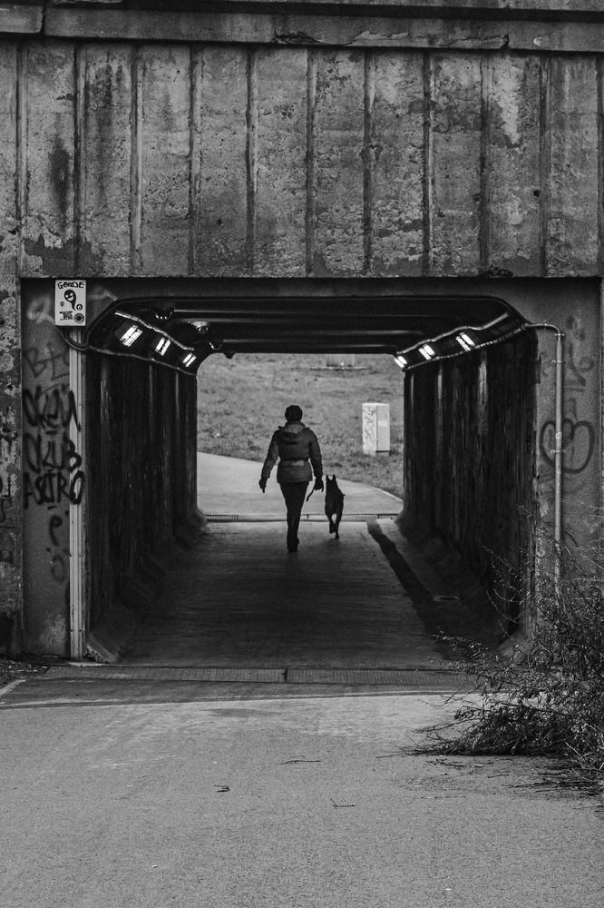 Photograph by Nikolay Surovtsev