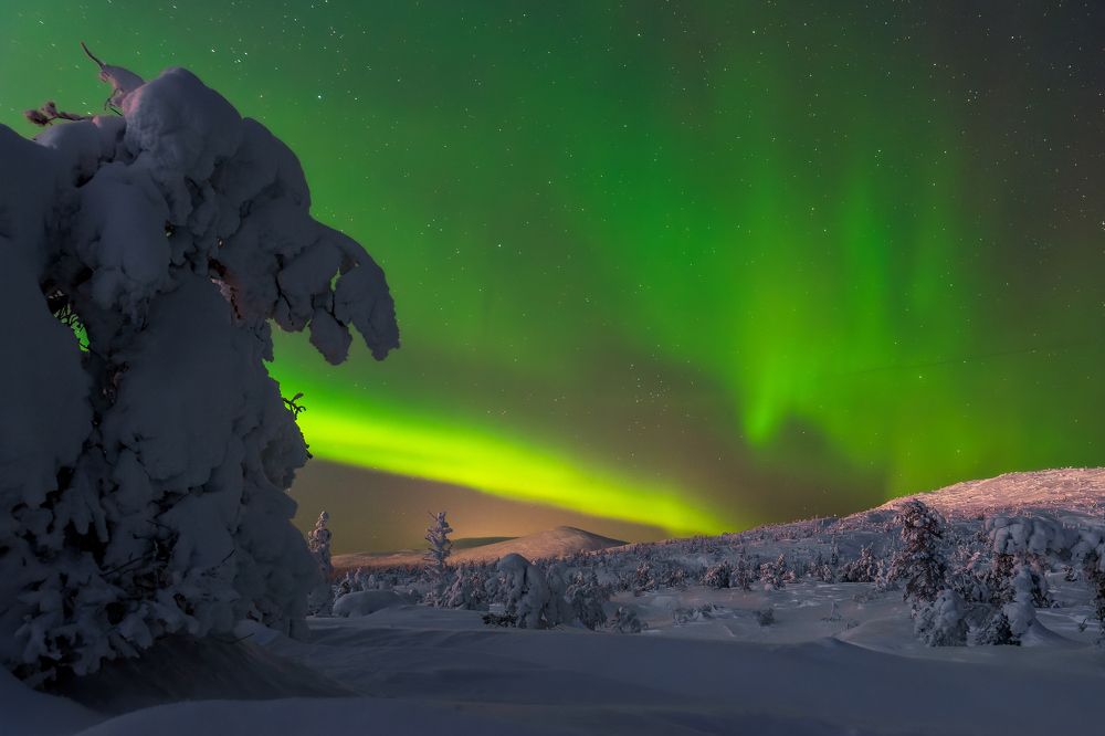 Фотография автора Mika Mgla