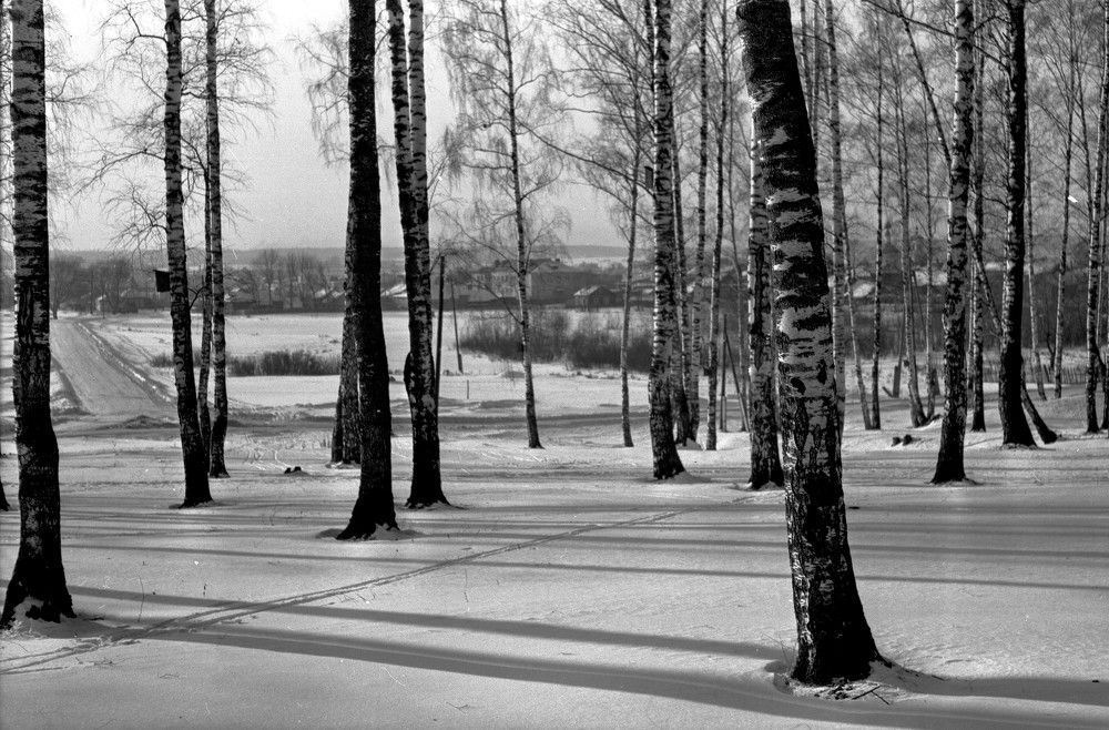 Photograph by Владимир Малёшин