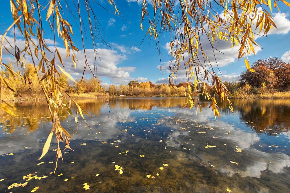 Photograph by Павел Сторчилов