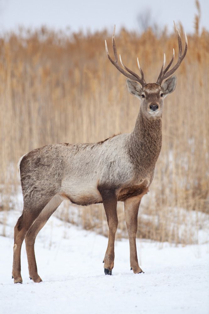 Фотография автора Andrey Shishkalov