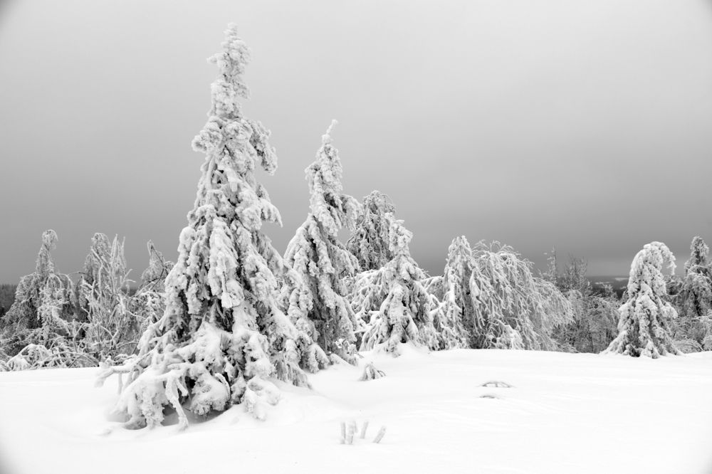 Photograph by Владислав Рубцов