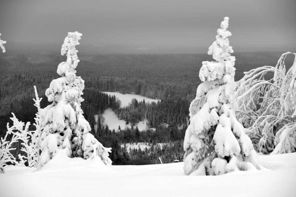 Вид с Белой горы.