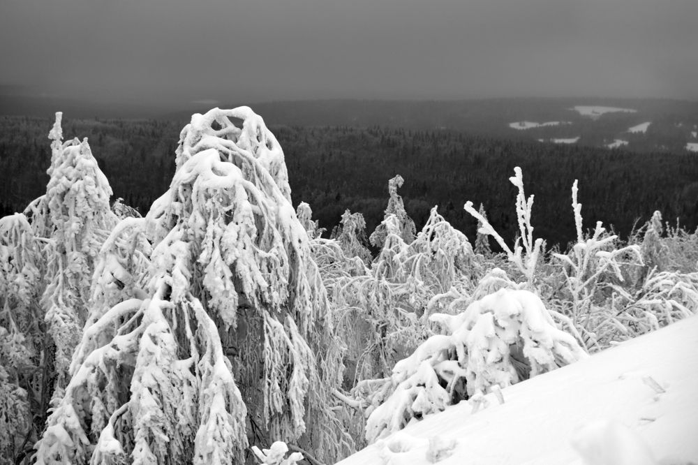Photograph by Владислав Рубцов