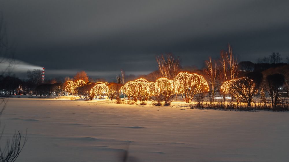Фотография автора Александр Бойков