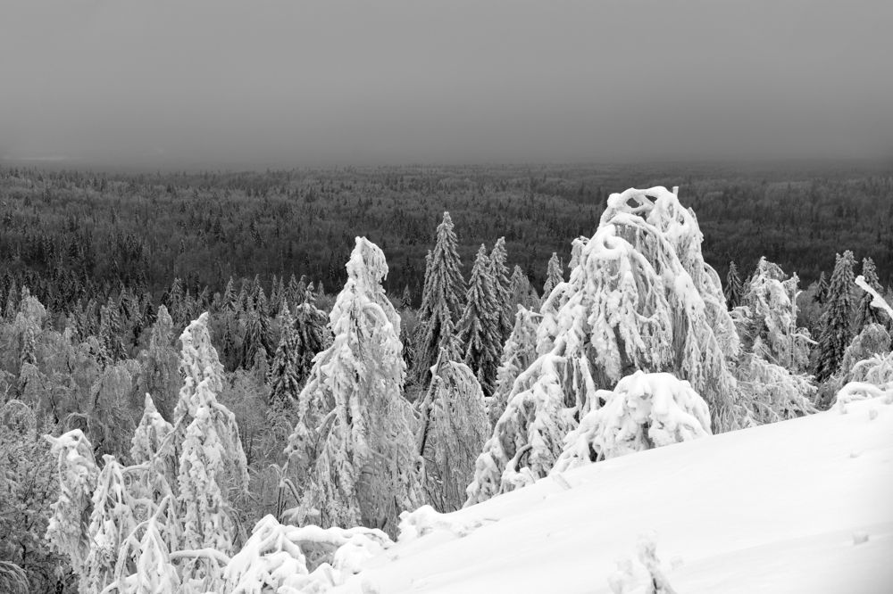 Photograph by Владислав Рубцов
