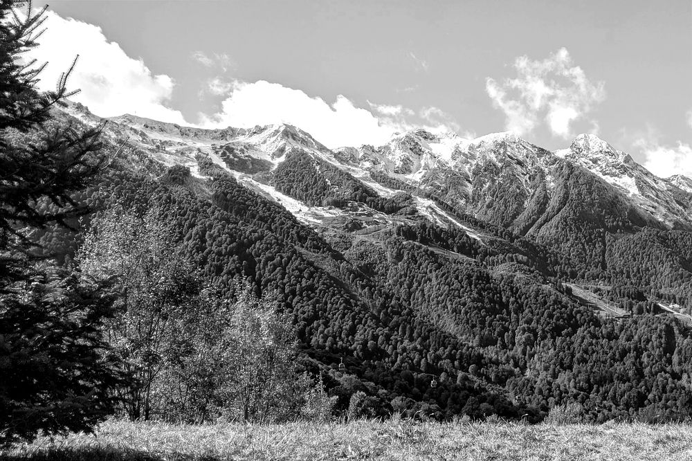 Фотография автора Андрей Павловский