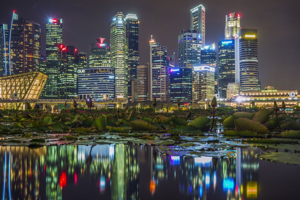 Photograph by Александр Журавлев