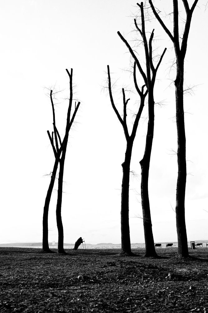 Photograph by Виталий Жихарев