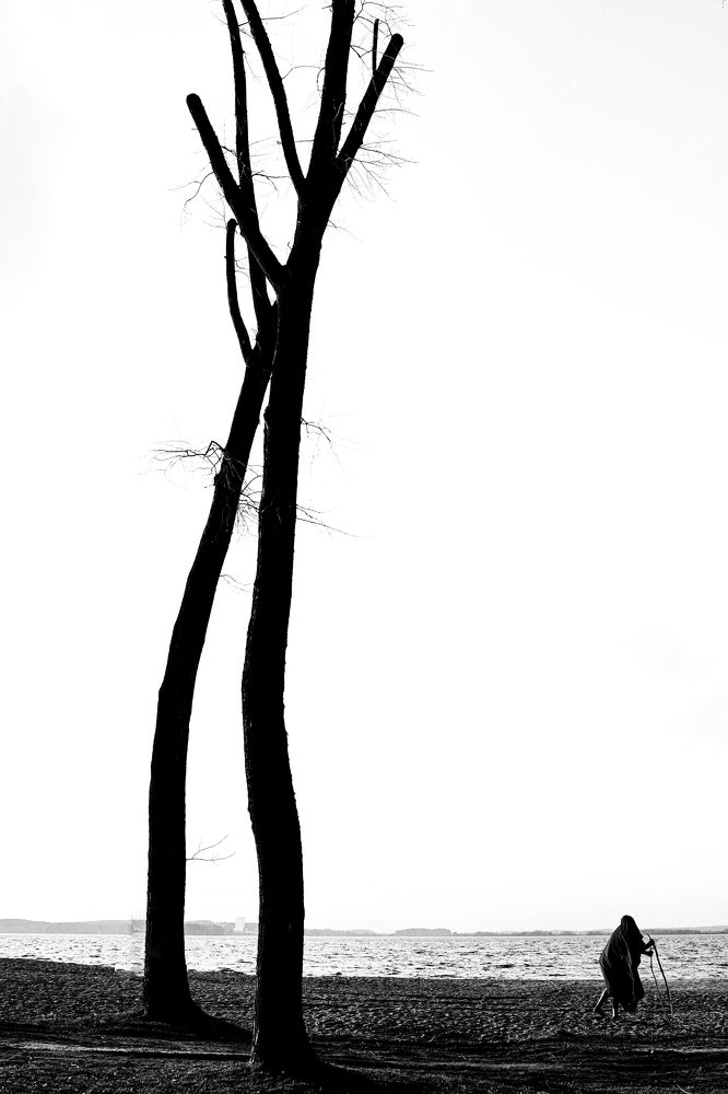 Photograph by Виталий Жихарев