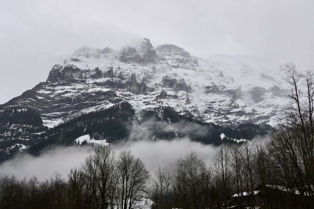 Foggy in the mountain