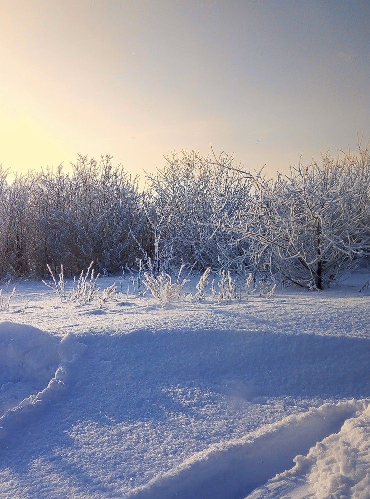 Photograph by Надежда Кононученко