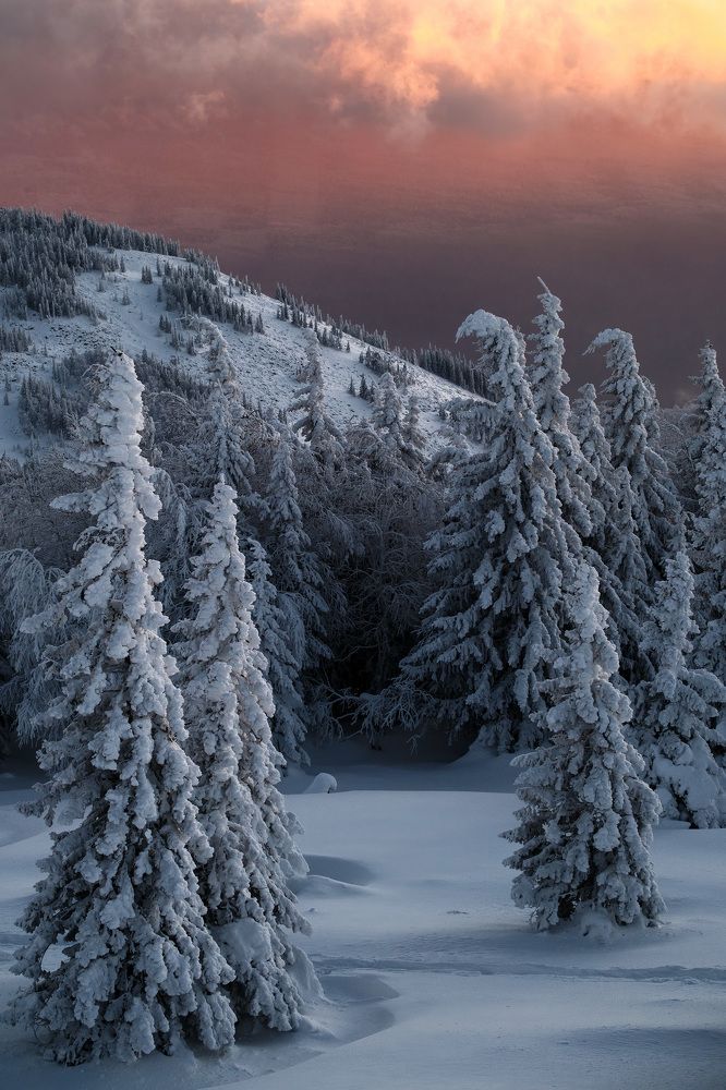 Photograph by Бодрягин Виталий