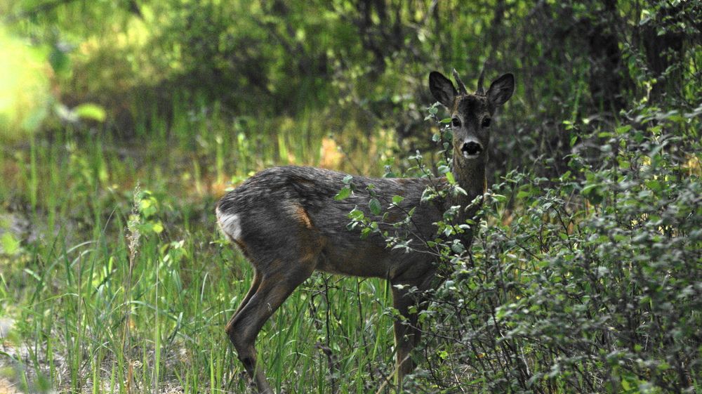 Photograph by Михаил Жуковский