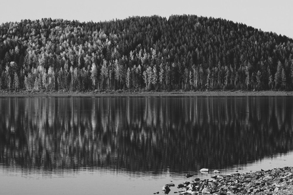 Photograph by Мария Халуторных