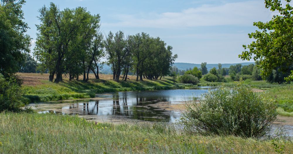 Photograph by Николай Инкин