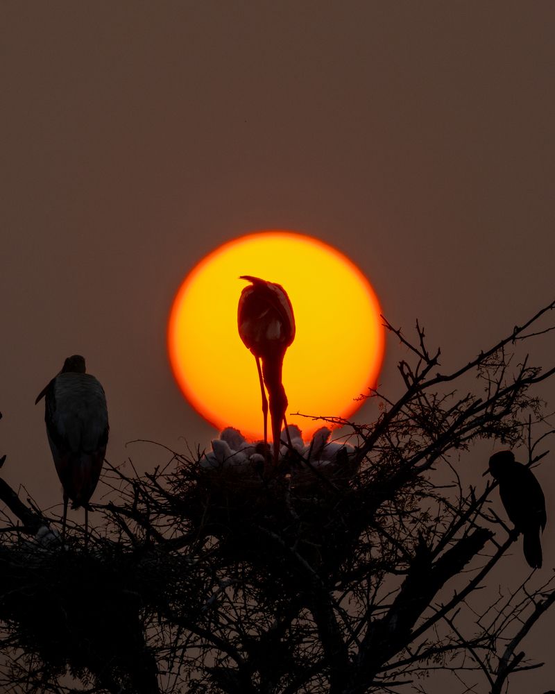 Фотография автора hitesh chawla