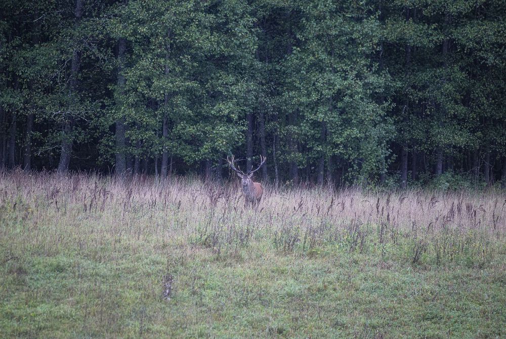 Photograph by Leanid Kulpo