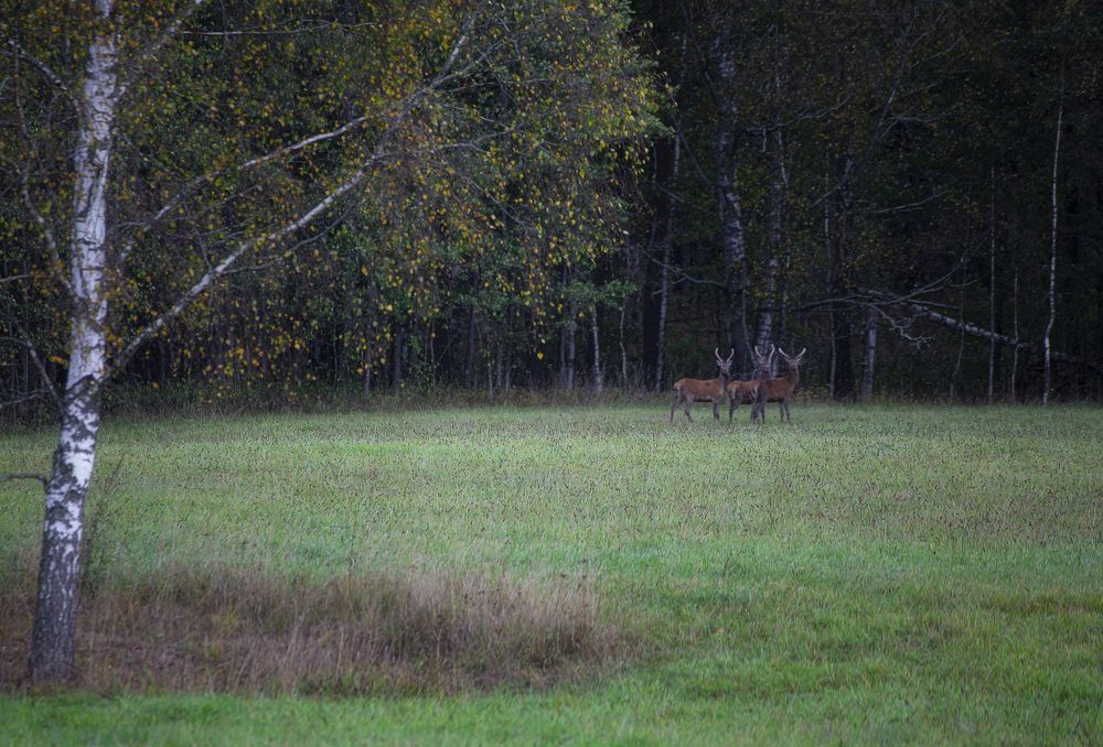 Photograph by Leanid Kulpo