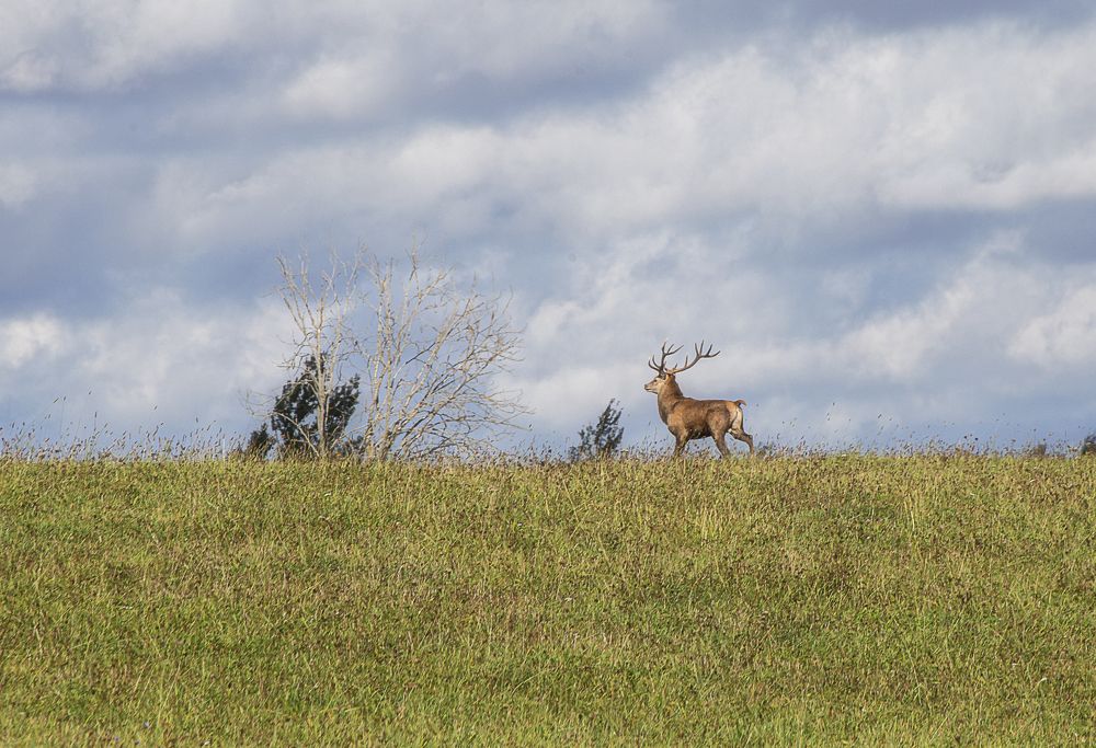 Photograph by Leanid Kulpo