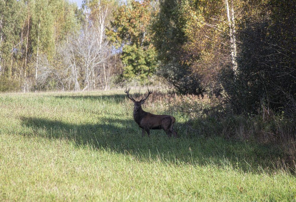 Photograph by Leanid Kulpo