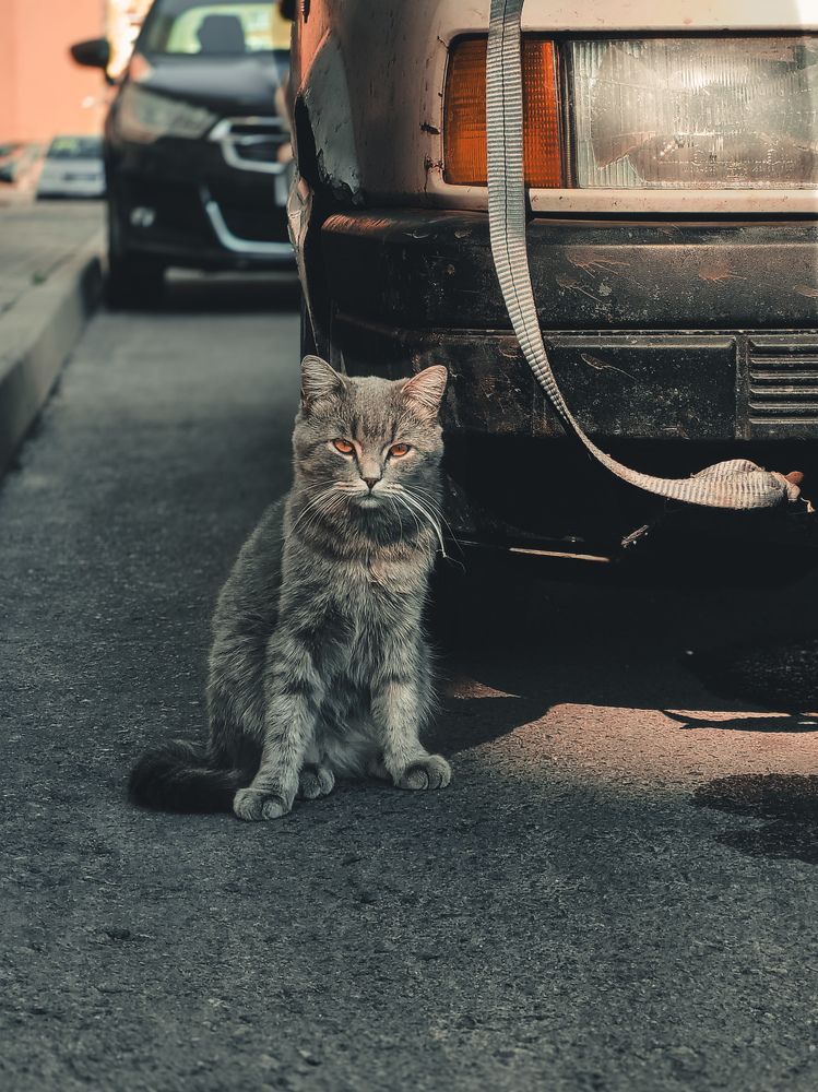 Photograph by Екатерина Мишкова