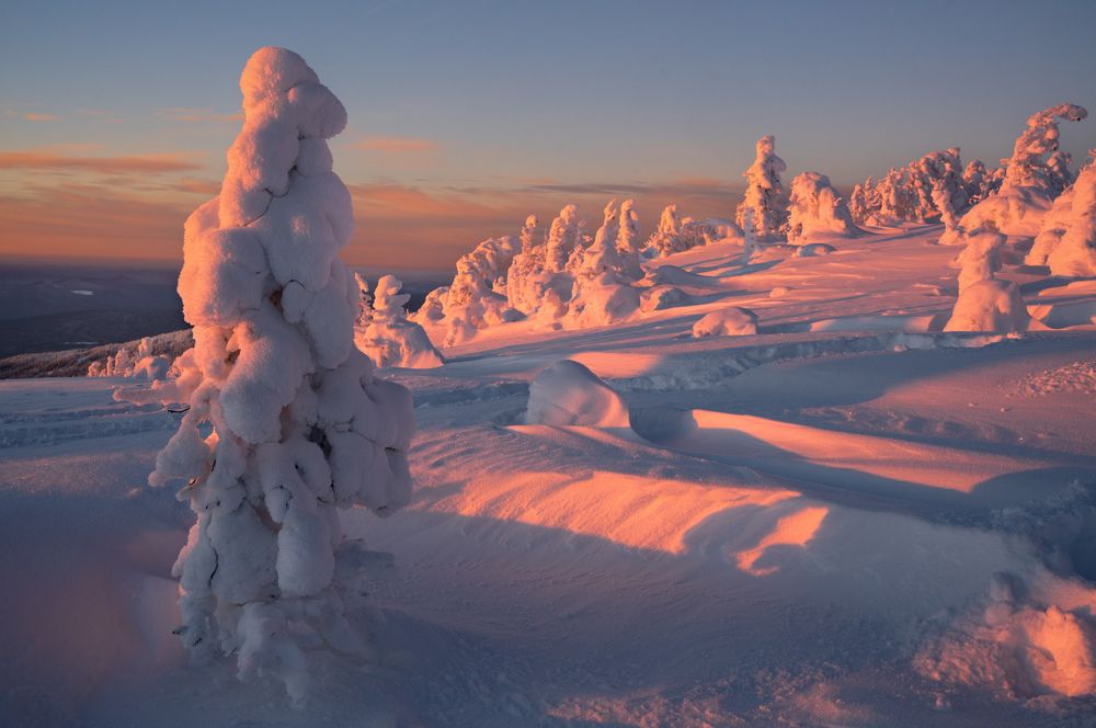 Photograph by Нерозя Александр